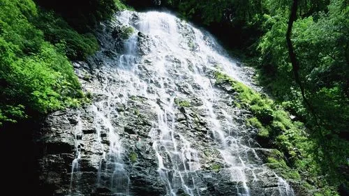高端科技